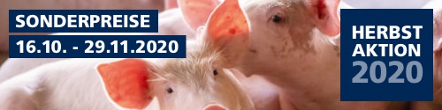 Jetzt Sparpreise nutzen Herbstaktion 2020