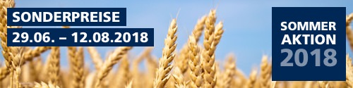 Jetzt Sparpreise nutzen Sommeraktion 2018