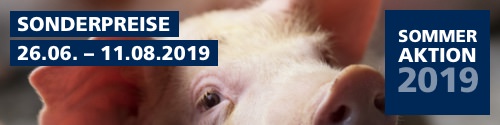 Sommeraktion 2019