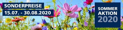 Jetzt Sparpreise nutzen Sommeraktion 2020