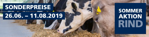 Jetzt Sparpreise nutzen Sommeraktion Rind 2019