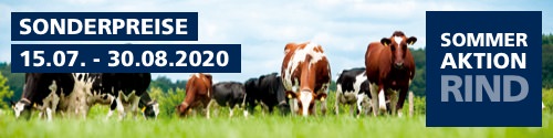 Jetzt Sparpreise nutzen Sommeraktion Rind 2020