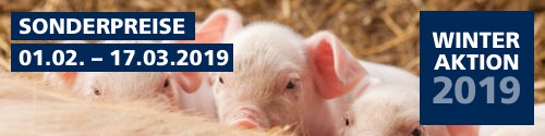Jetzt Sparpreise nutzen Winteraktion 2019