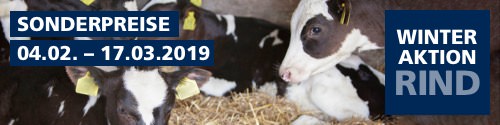 Winteraktion Rind 2019