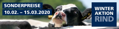 Winteraktion Rind 2020