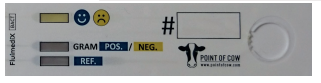 Ergebnis Gram-positiv:üblich ist eine Behandlung mit Antibiotika in Absprache mit dem Tierarzt