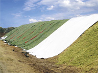 Siloschutzgitter