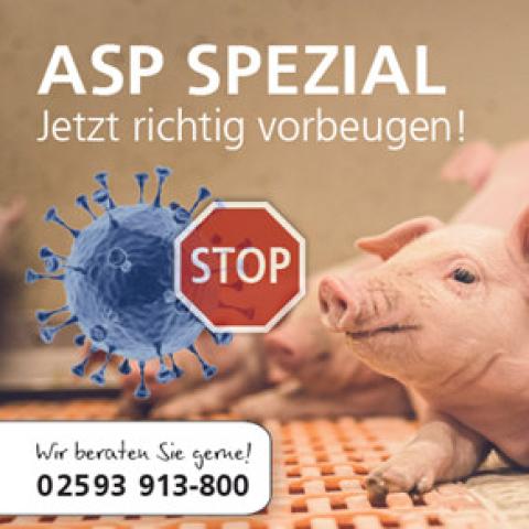 Schweinebetrieb vor ASP schützen
