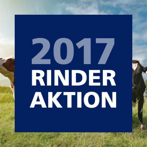 Frühlingsaktion Rind 2017 bis zum 18. Juni 2017