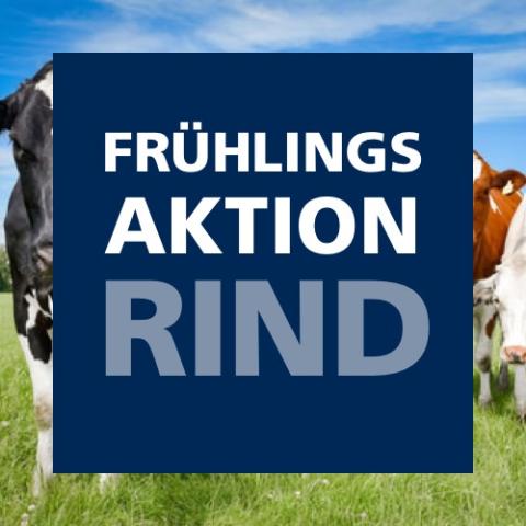 Frühlingsaktion Rind 2019