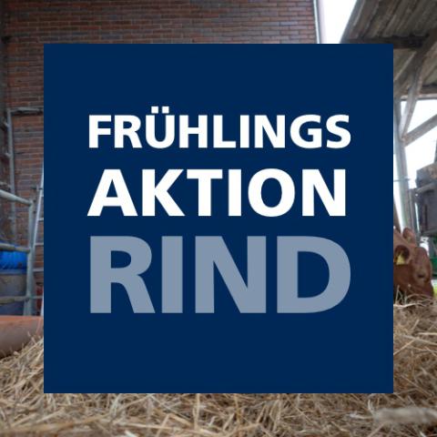 Frühlingsaktion Rind 2025