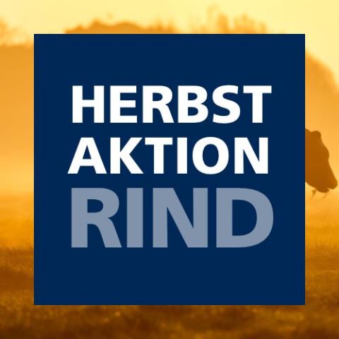 Herbstaktion Rind 2019