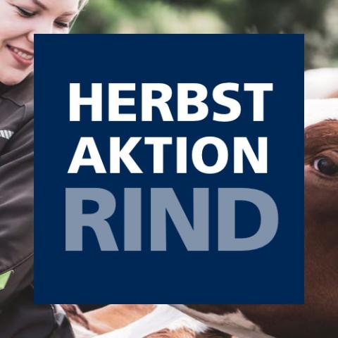 Herbstaktion Rind 2020 noch bis zum 29. November 2020