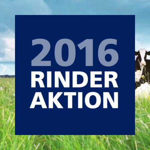 Frühlingsaktion Rind 2016