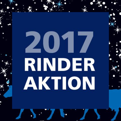 Rinderaktion 2017