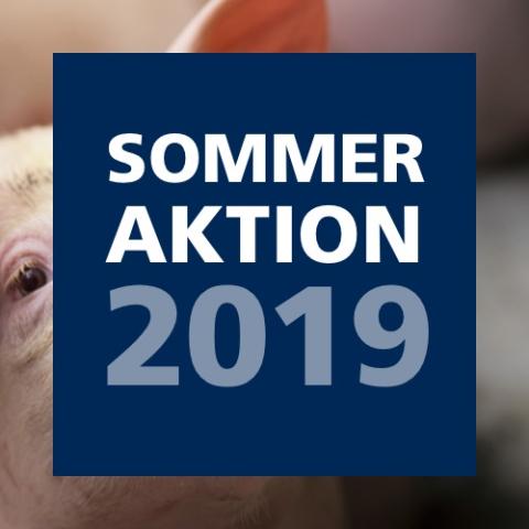 Sommeraktion 2019