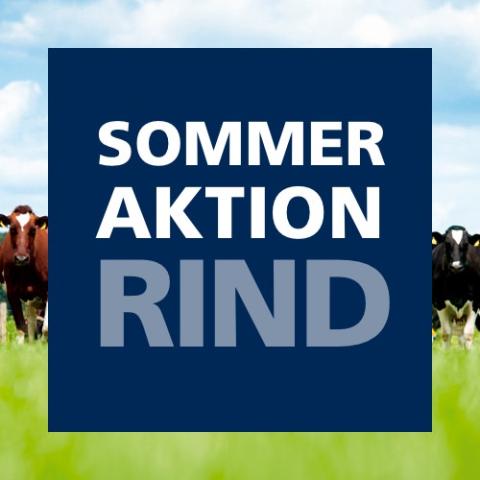 Sommeraktion Rind 2020