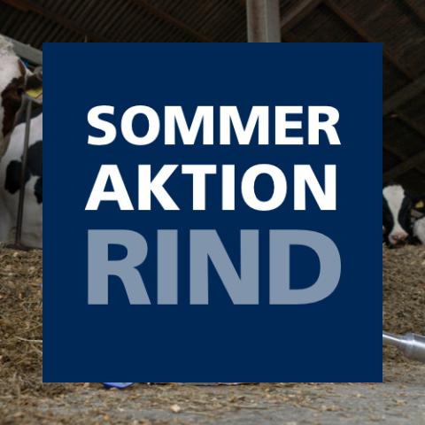 Sommeraktion Rind 2024