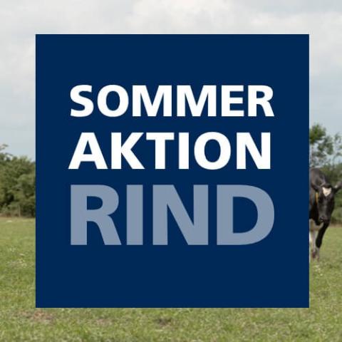 Sommeraktion Rind 2026