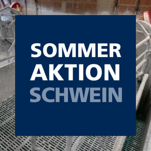 Sommeraktion Schwein 2024