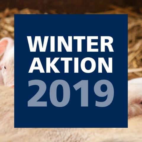 Winteraktion 2019