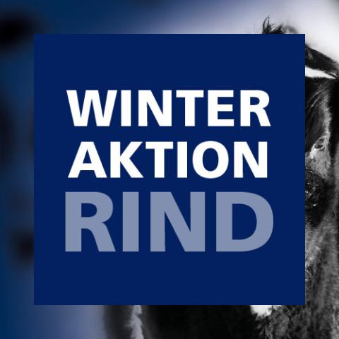 Winteraktion Rind 2018