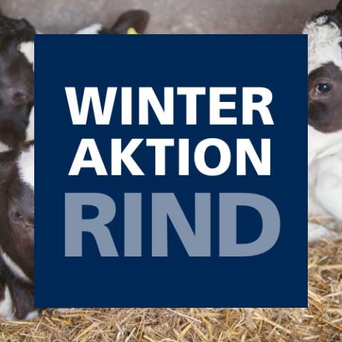 Winteraktion Rind 2019