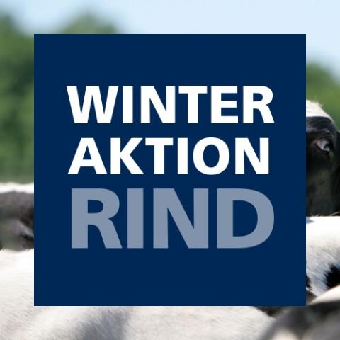 Winteraktion Rind 2020