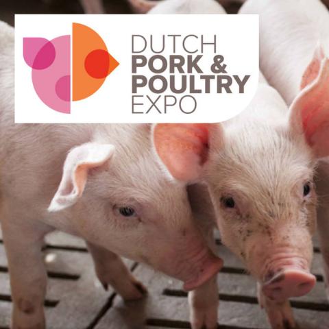 Die GFS auf der Dutch Pork & Poultry Expo in Hardenberg