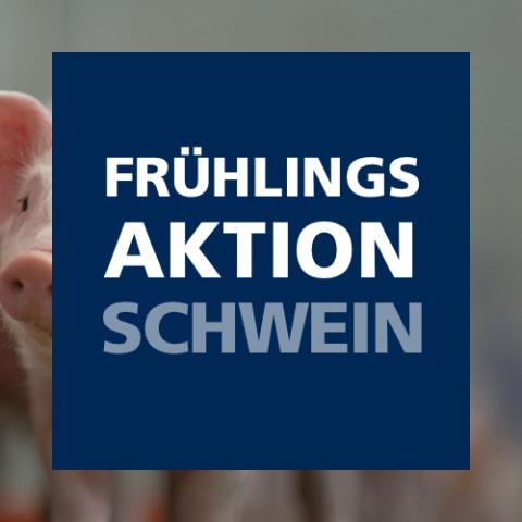 Frühlingsaktion Schwein 2025