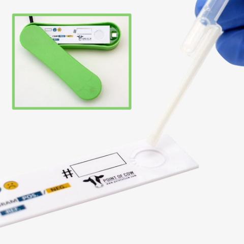 Auf mastitis testen