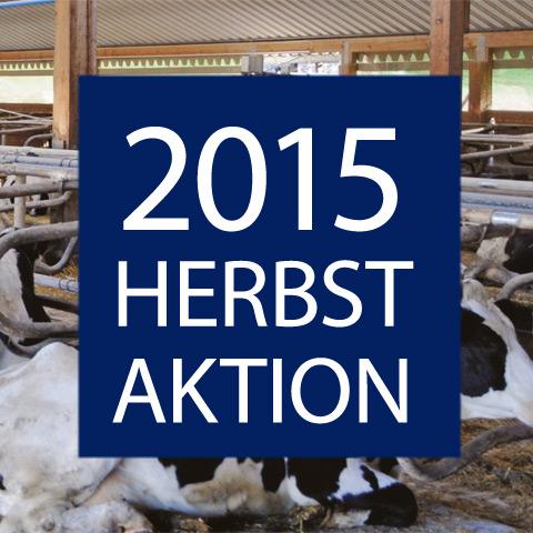 Herbstaktion Rind 2015