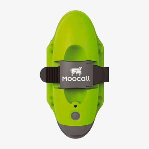 Abkalbemelder Moocall